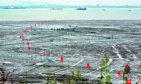 泉州灣跨海大橋鋼棧橋從晉江南北兩岸同時動工