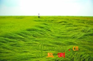 25ʡ½hϴltl1f۶ꖺˮɺԣLһ߶ߣͬ̎ԭ